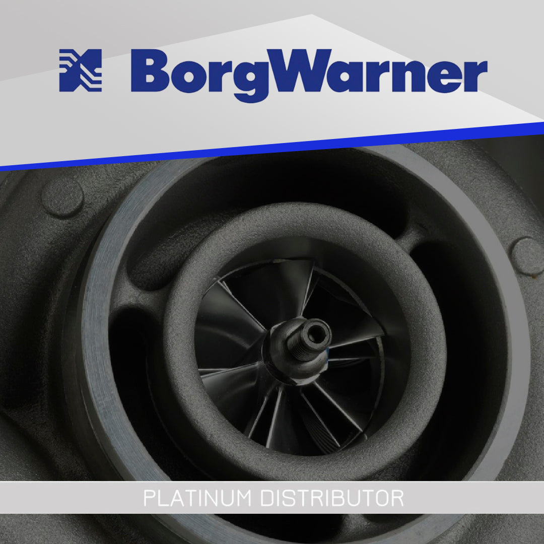 BorgWarner Partnership