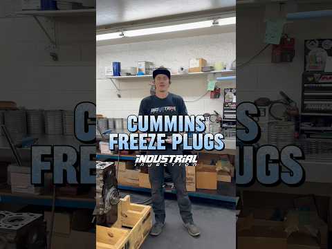Cummins 12V, 24V &amp; 4BT Rear Freeze Plug Retaining Plate (With O-ring)